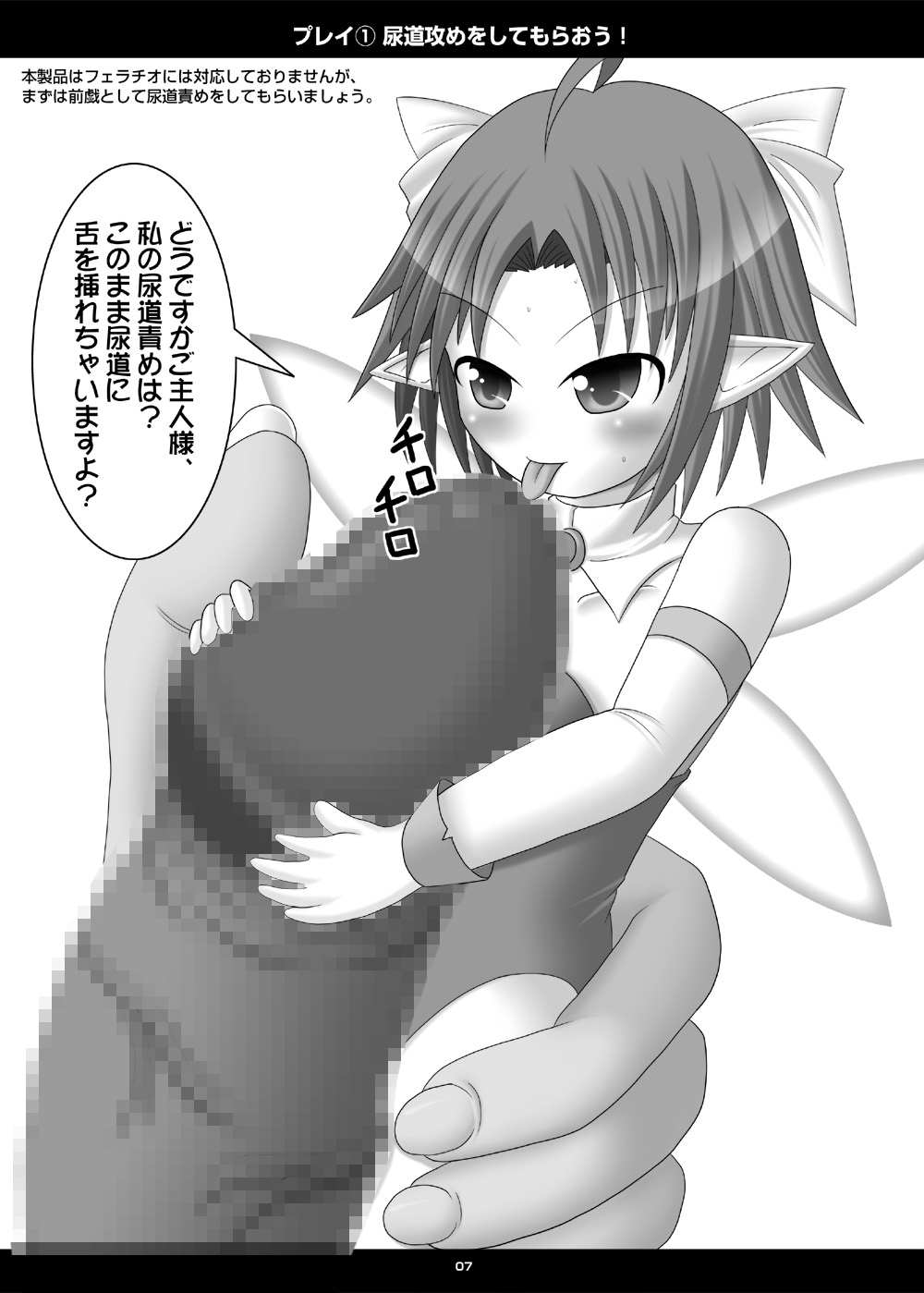 Onaho Yousei Toriatsukai Setsumei-sho page 6 full