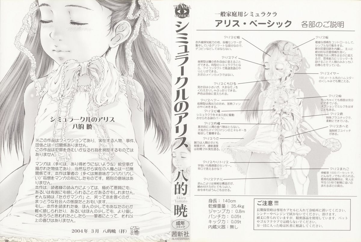 Simulacre no Alice page 2 full