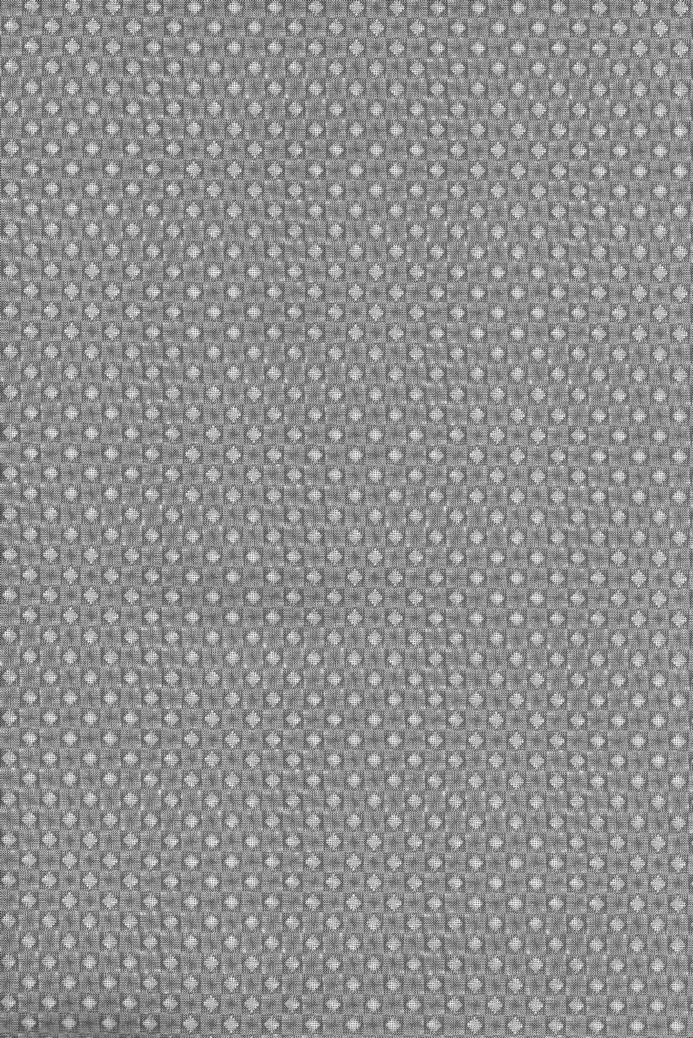 Mikawa no Taishou page 6 full