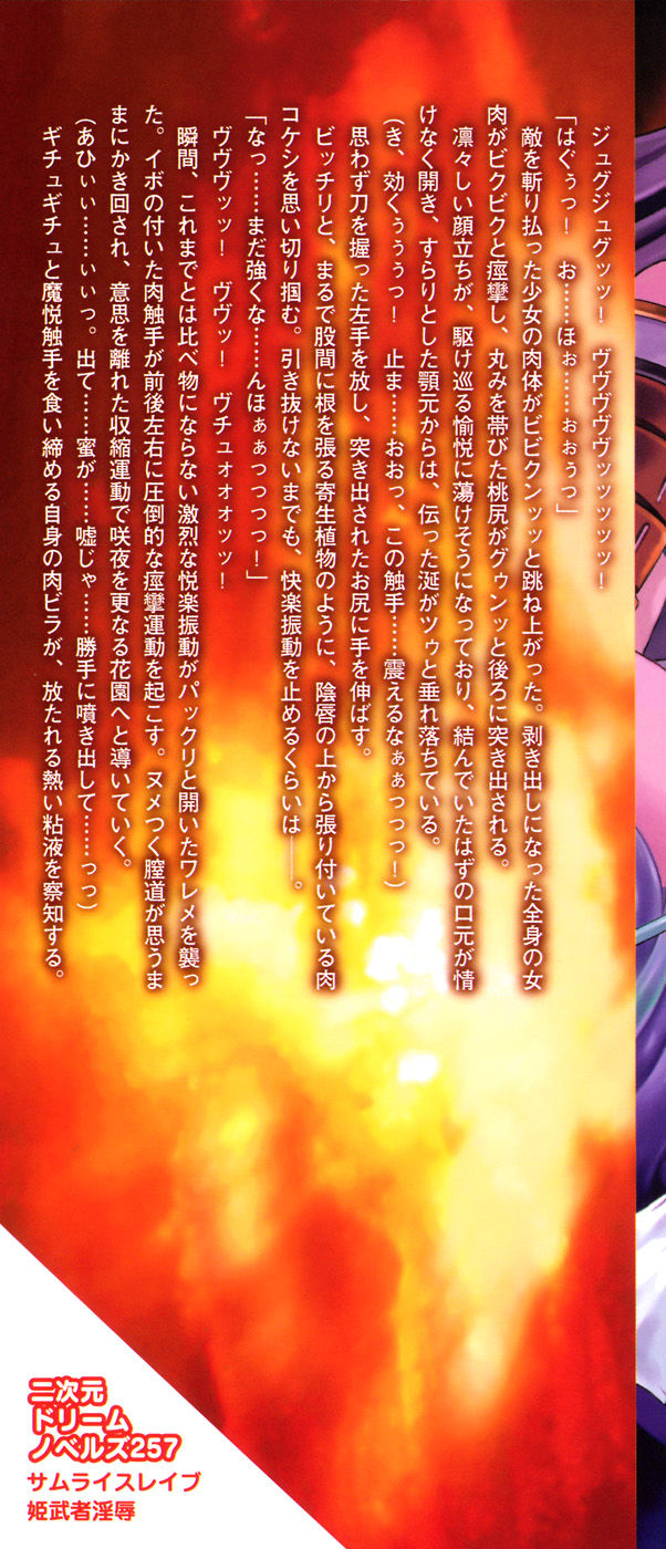 Samurai Slave - Hime Musha Injoku page 4 full