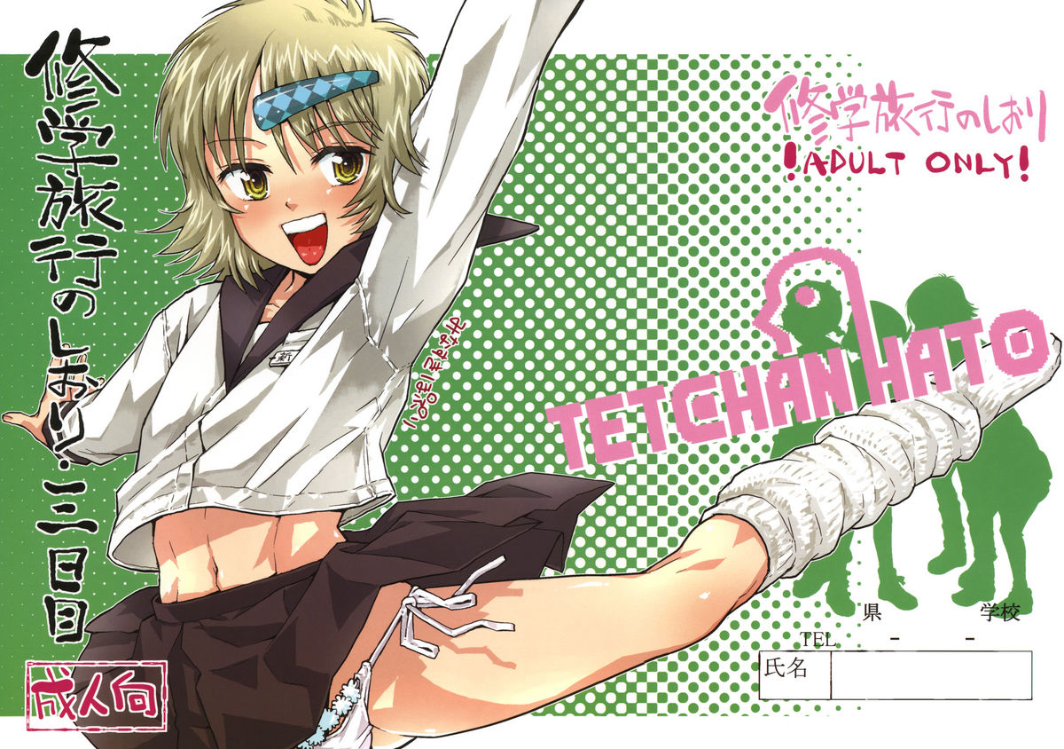 Shuugaku Ryokou no Shiori Mikkame page 1 full