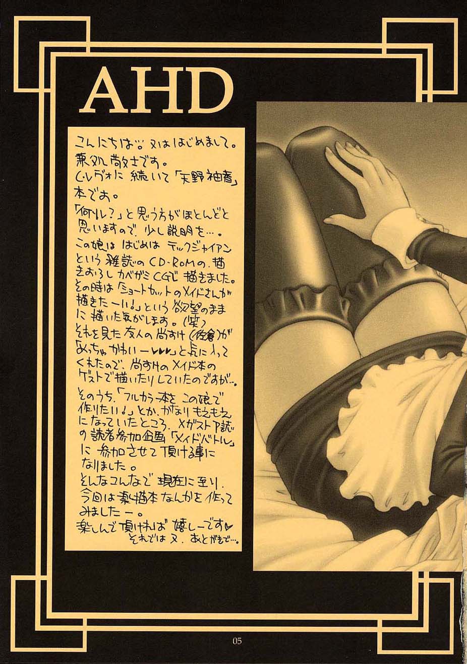 AHD ANOTHER HEAVEN'S DOOR page 4 full