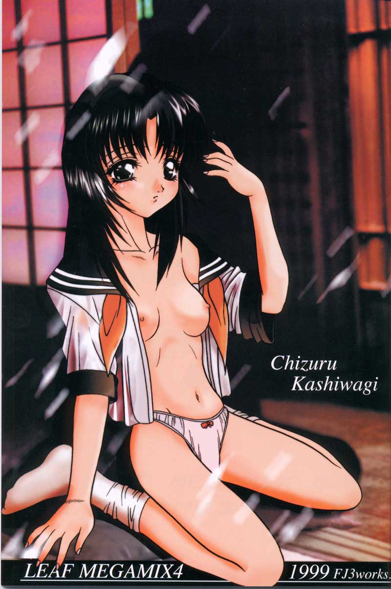 LEAF MEGAMIX 4 Christmas Gift page 3 full