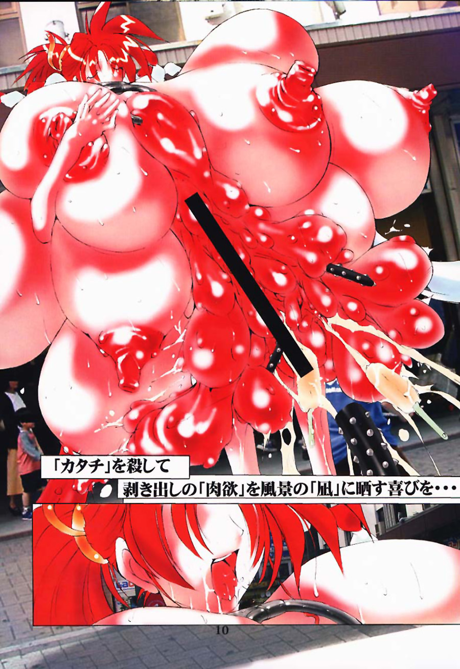 Igyou Shashin Kan page 9 full