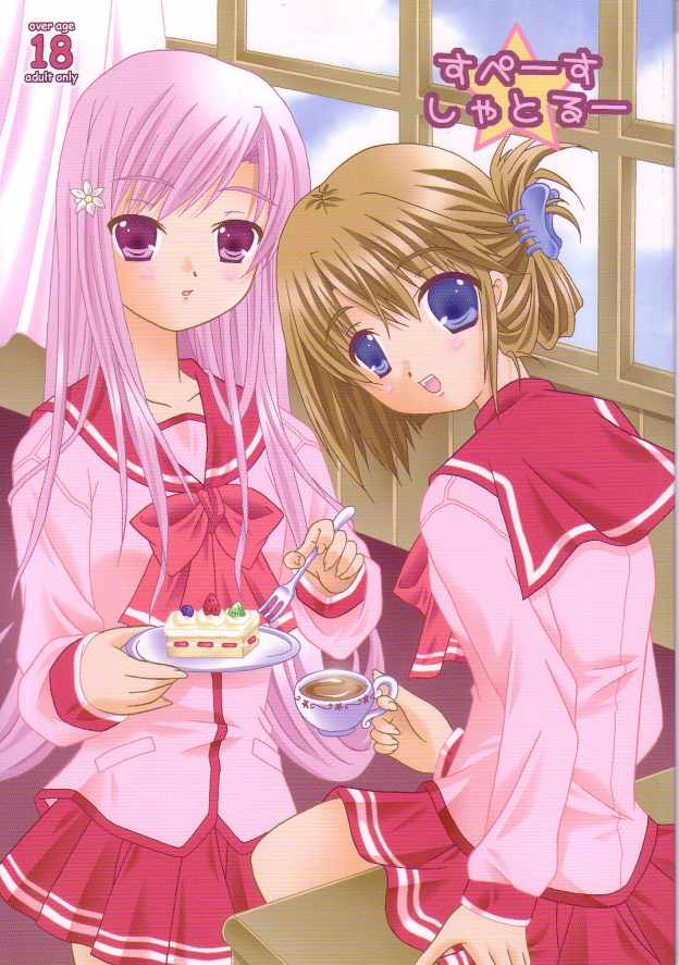 Space Shuttle page 1 full