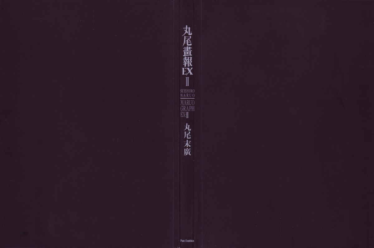 MARUOGRAPH EX 2 page 3 full