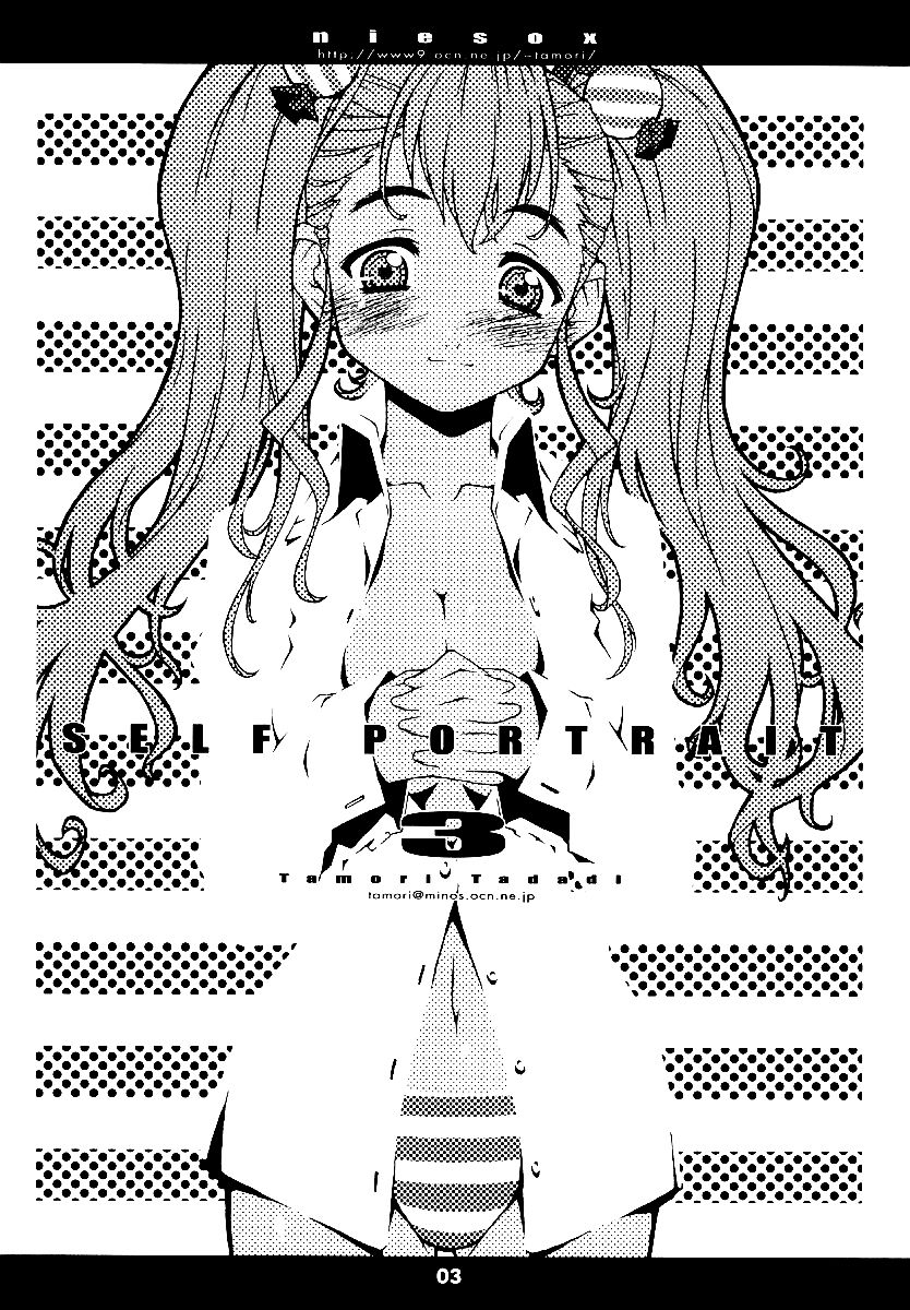 SELF PORTRAIT 3 page 3 full