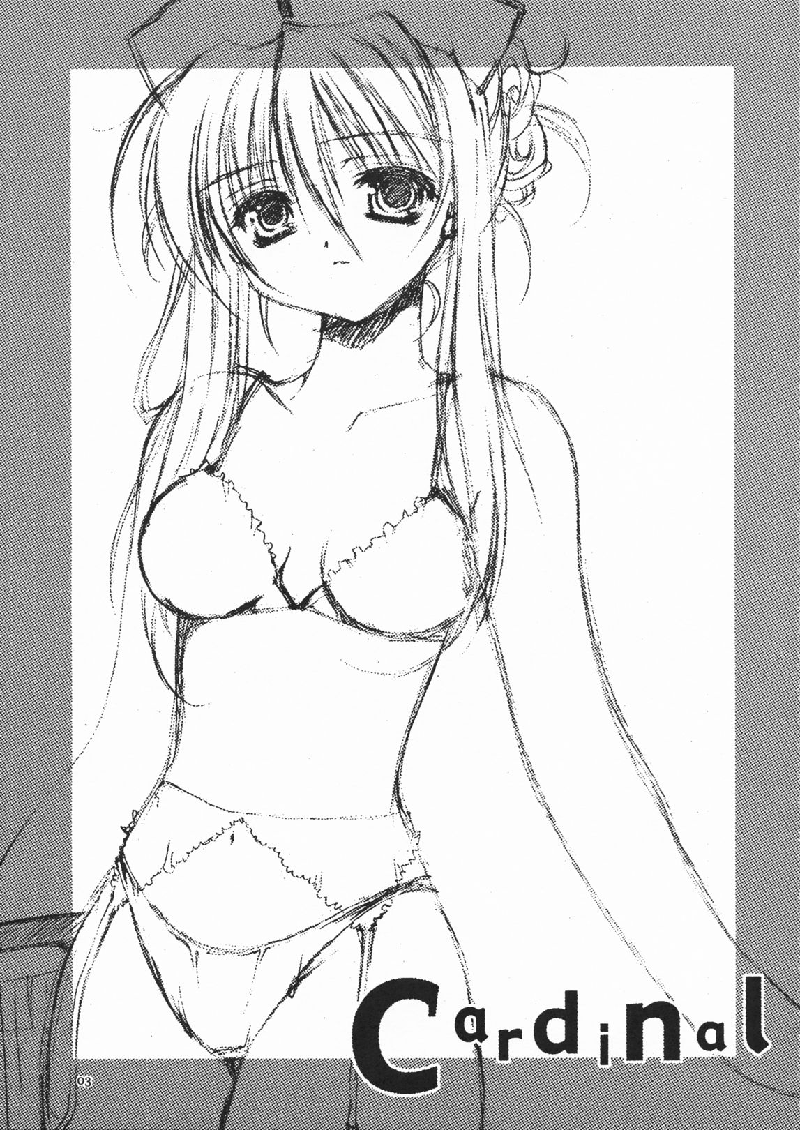 Cardinal page 2 full