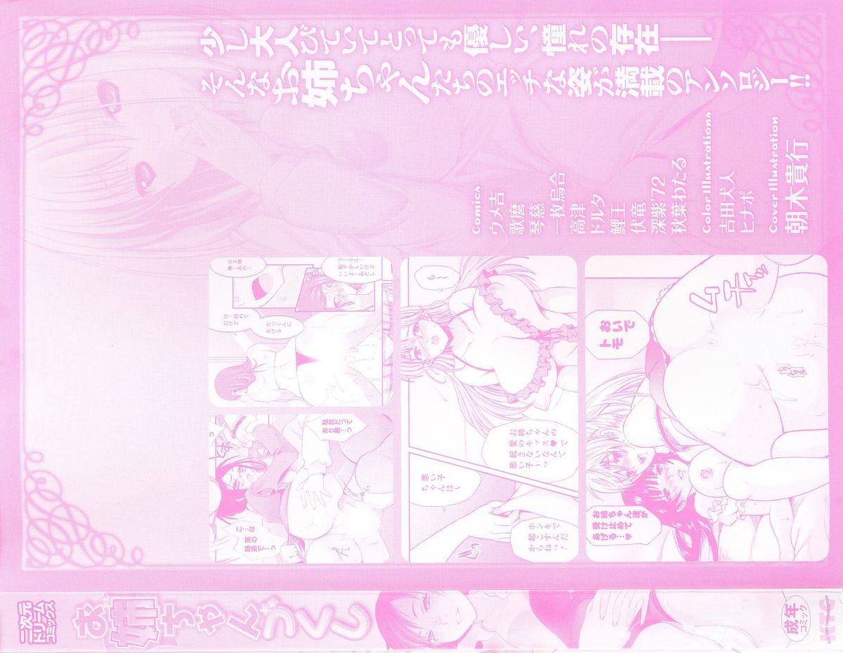 Oneechan Zukushi page 4 full