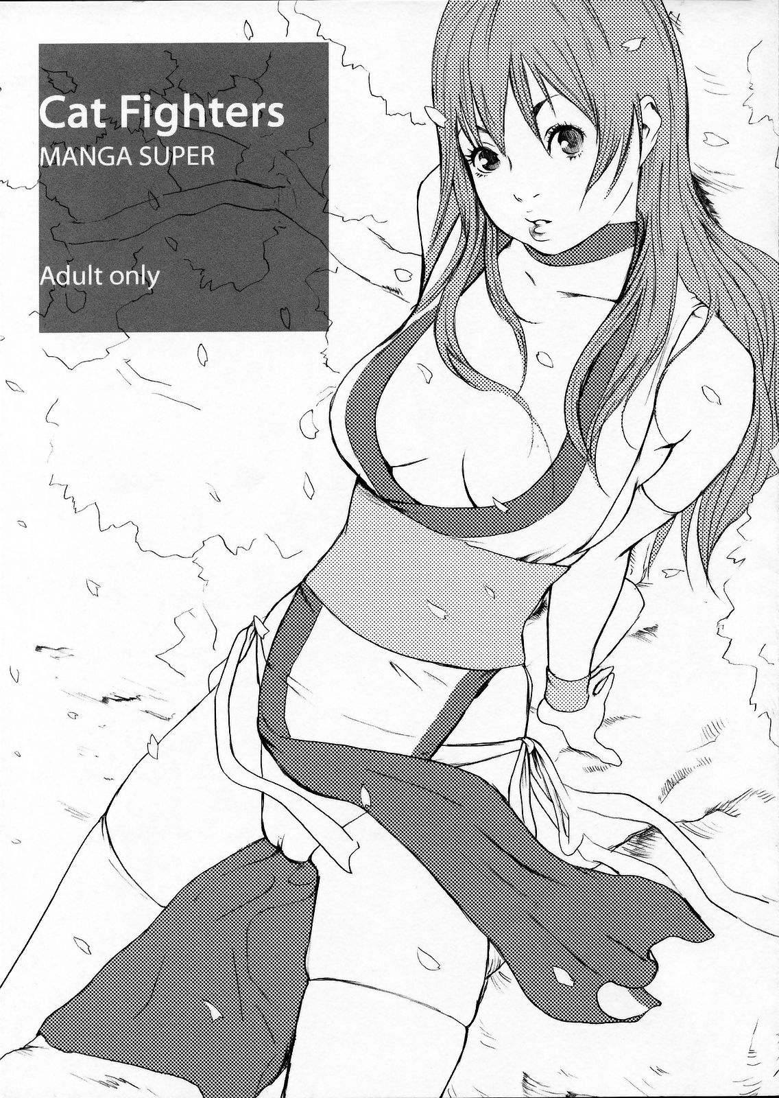 Cat Fighters page 1 full