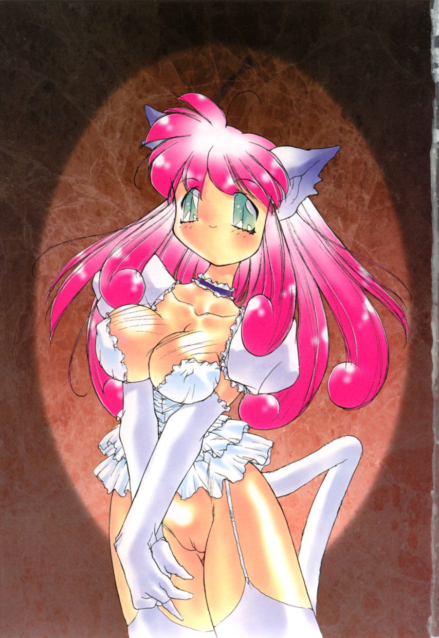 Totsuzen! Cat tale EX page 3 full