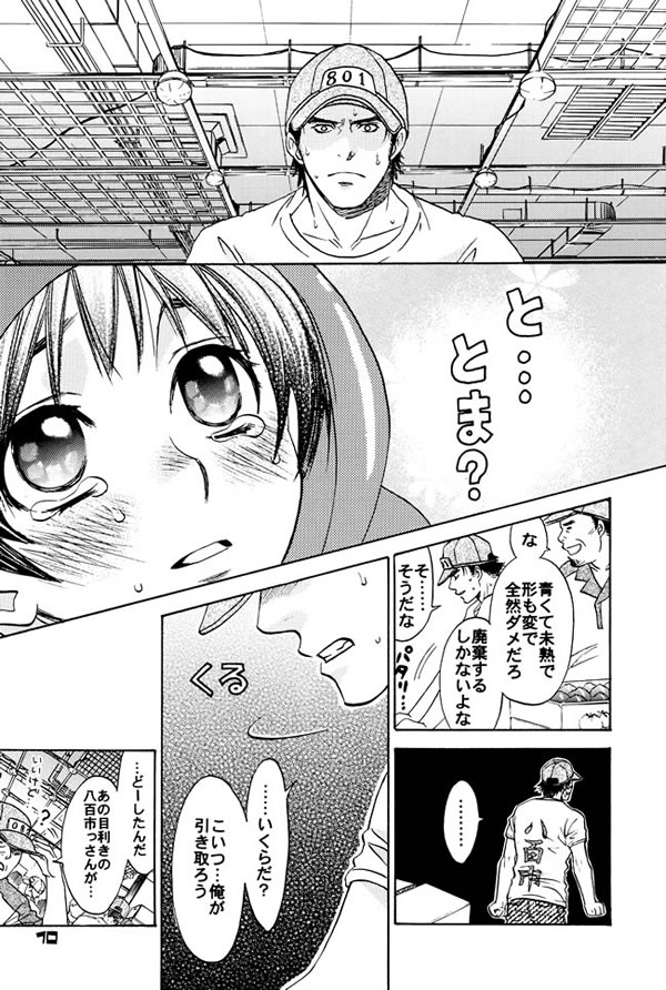 Tomato Pretty page 7 full