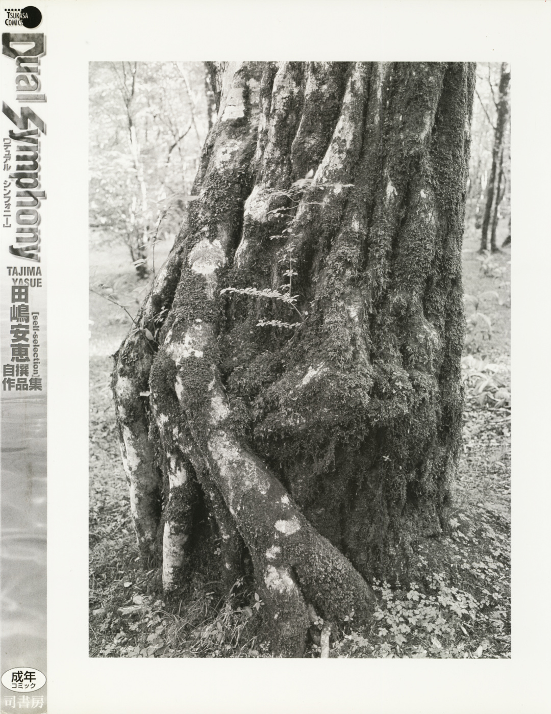 Dual Symphony page 6 full