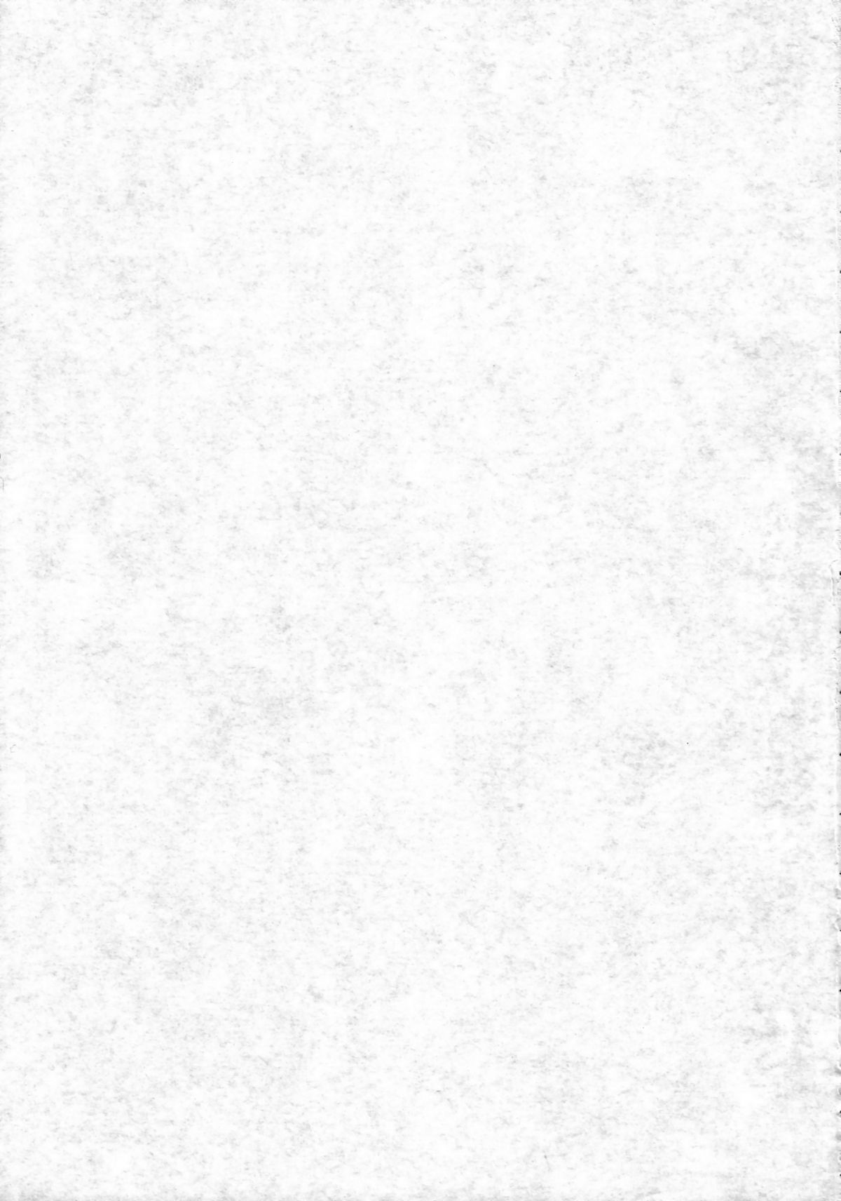 PLUMATION 0606 page 2 full