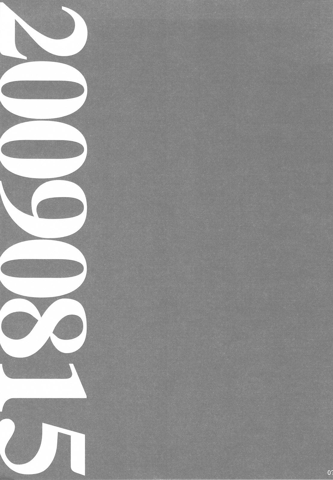 20090815 page 2 full