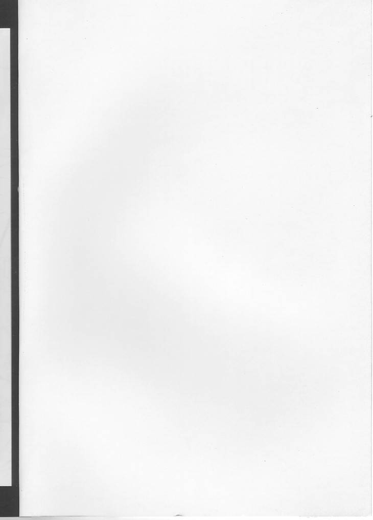 SAKURA NEKONEKO TAIKAI page 2 full