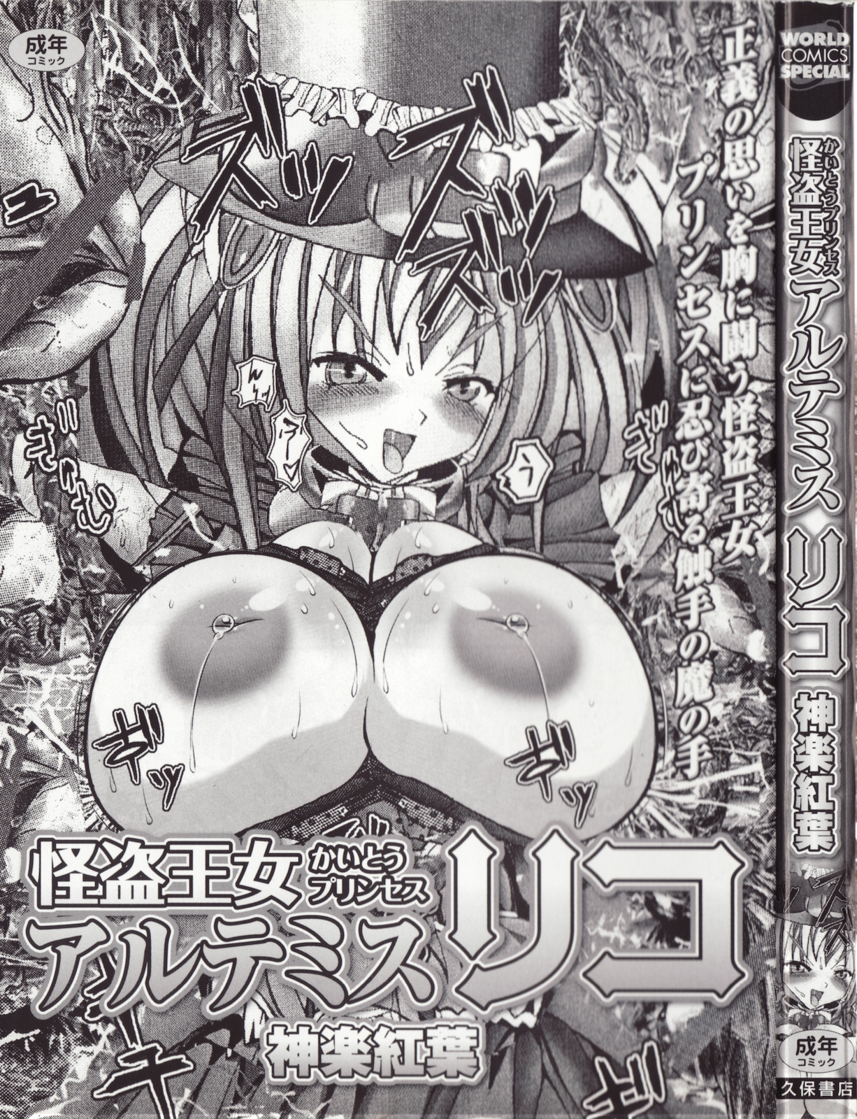 Kaitou princess Artemis RiKo page 3 full