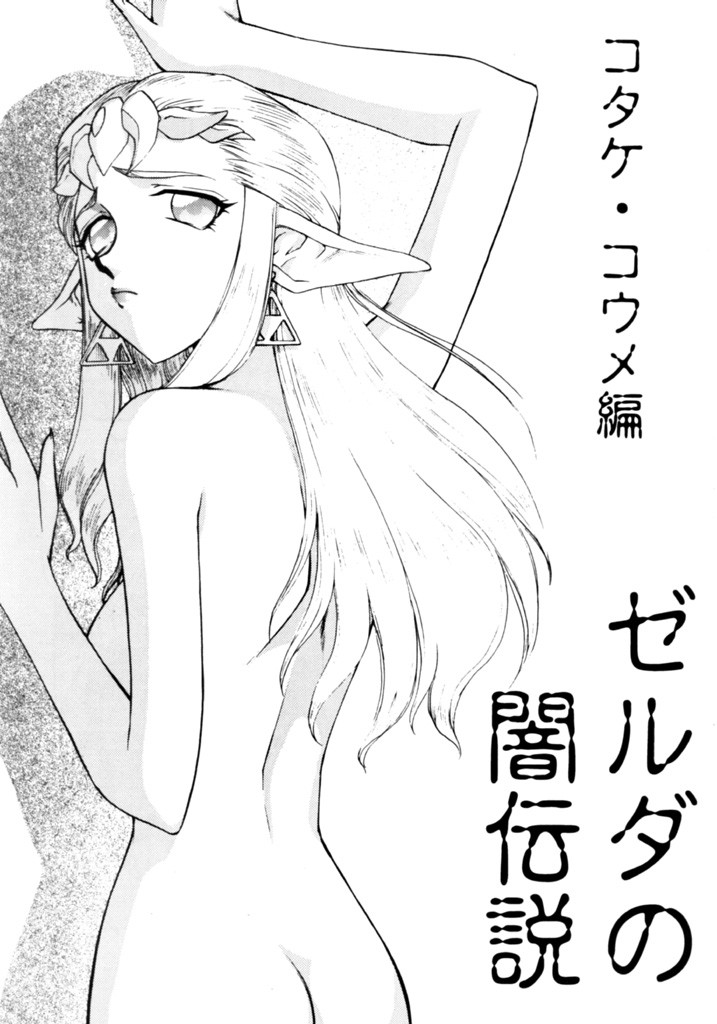 NISE Zelda no Densetsu Shinshou page 6 full