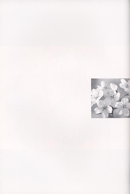 Shiori Soushuuhen page 9 full