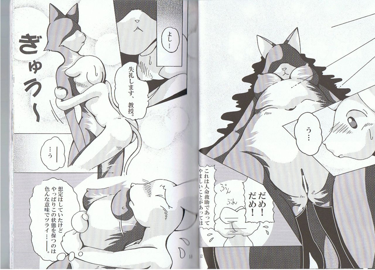 Seishun 18kin Kippu 2 page 6 full