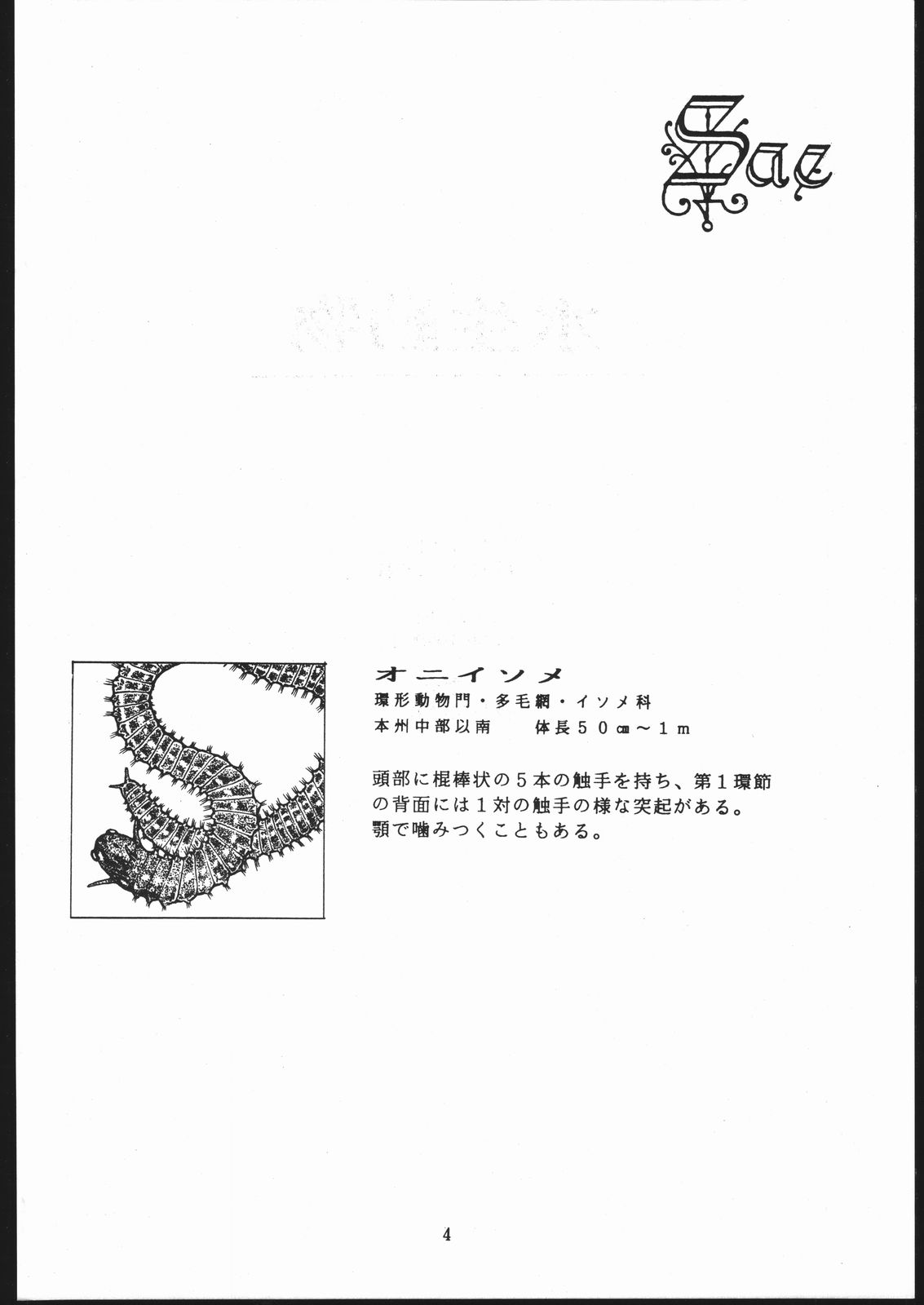 Sae Superdry II page 5 full