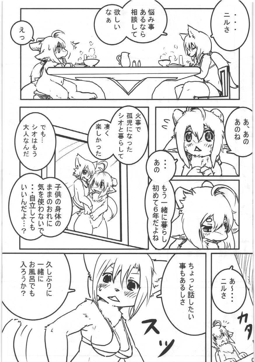 Boite Sucre page 8 full