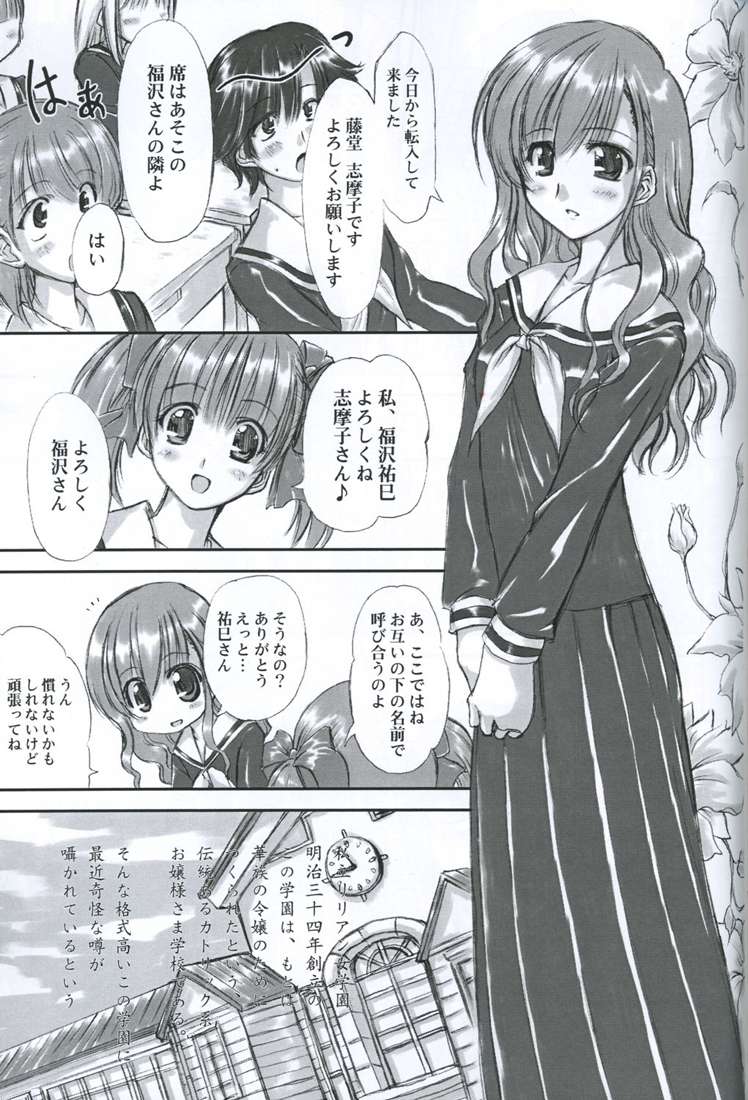 Junpaku Seito Shimakosan page 4 full