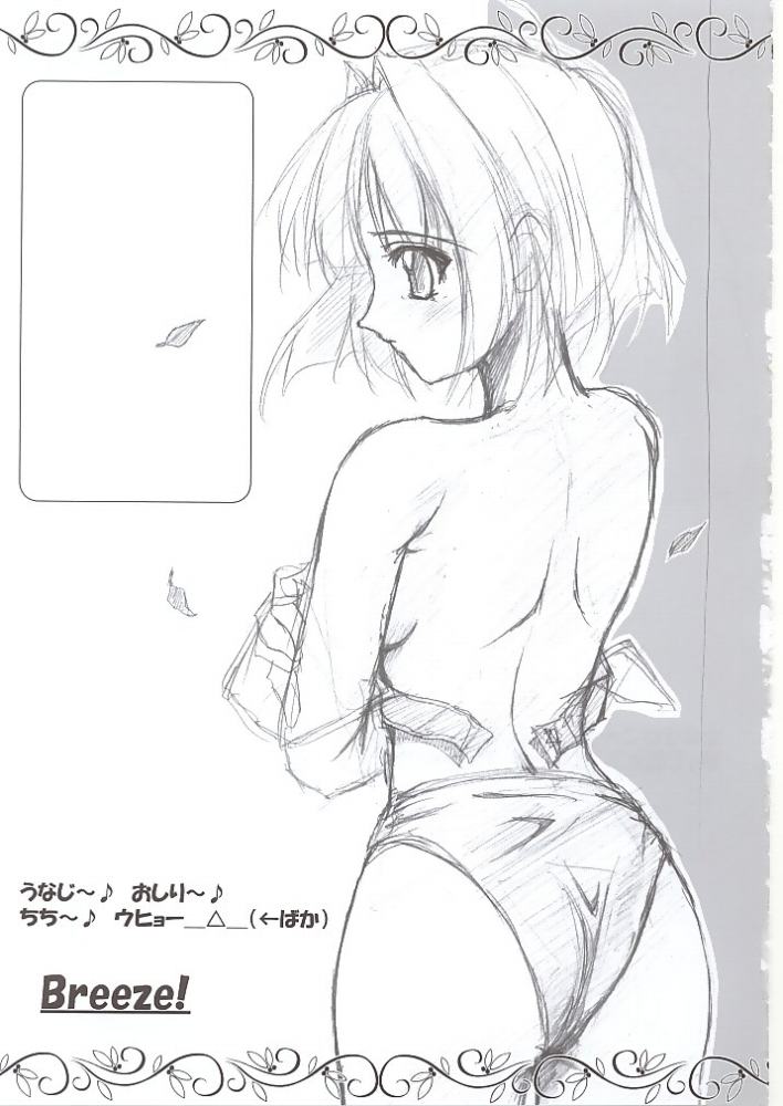 Majolica page 8 full