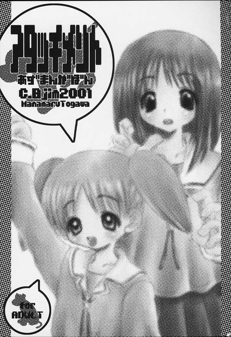 Attachment page 2 full