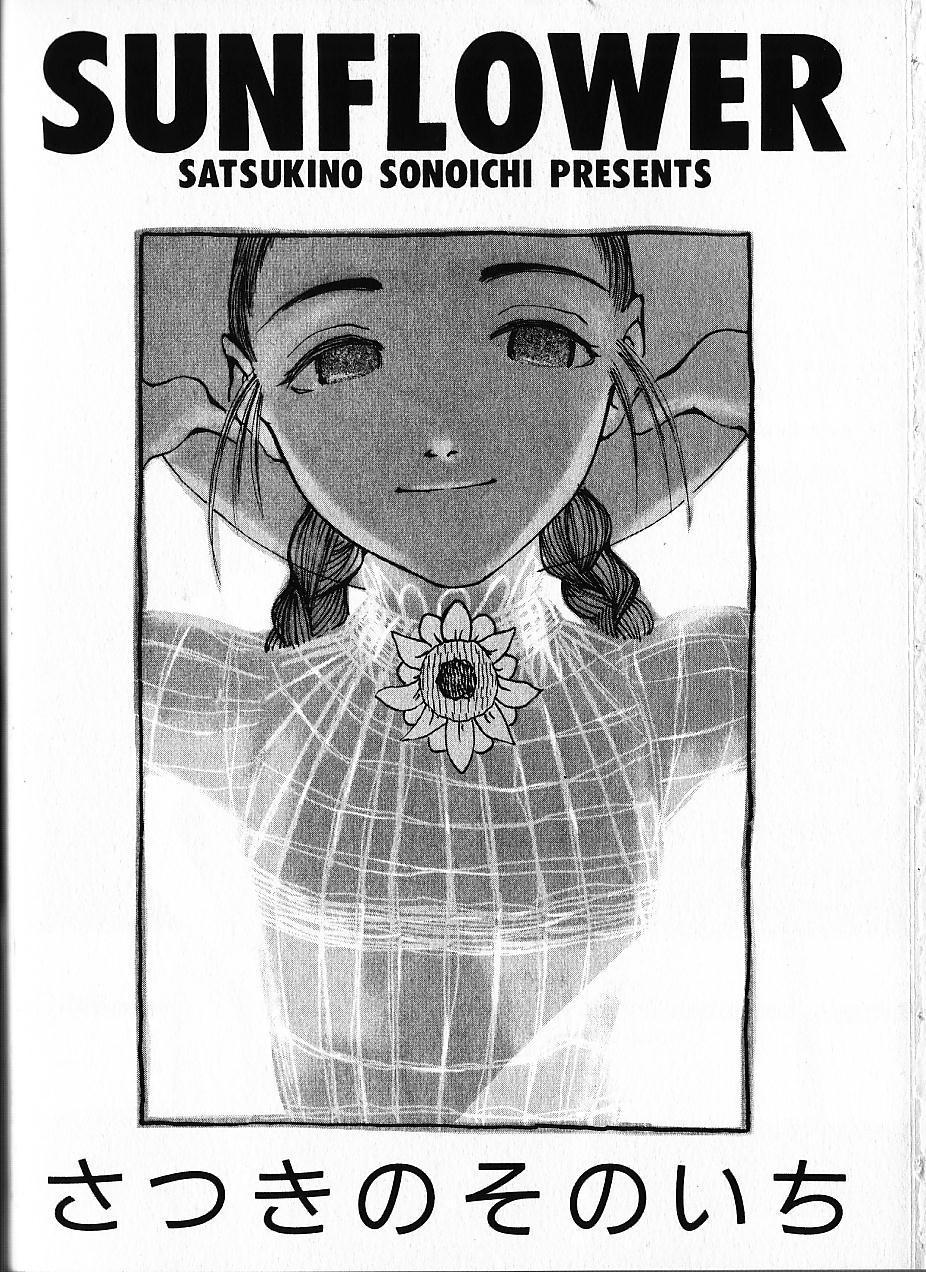 SUNFLOWER page 4 full