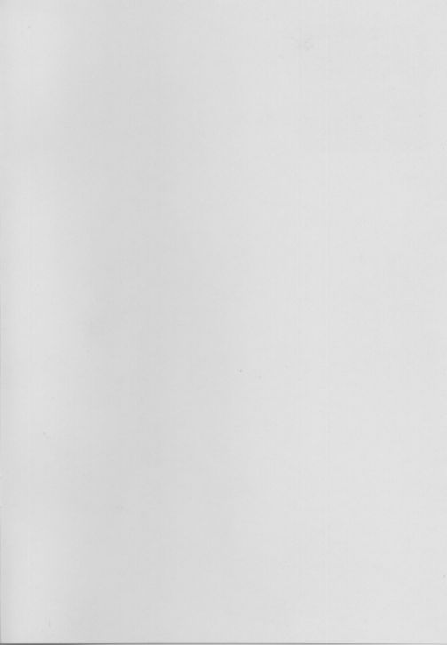 Rough vol. 19 page 2 full