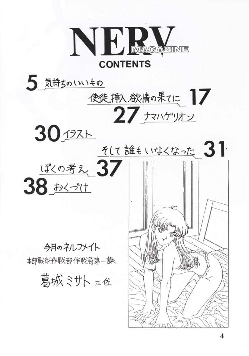 NERV MAGAZINE NO. 1 page 3 full