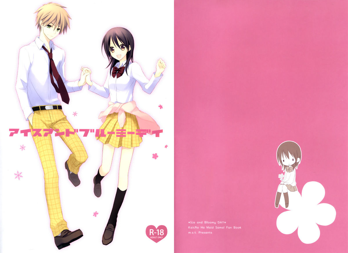 Ice and Bloomy Day page 2 full