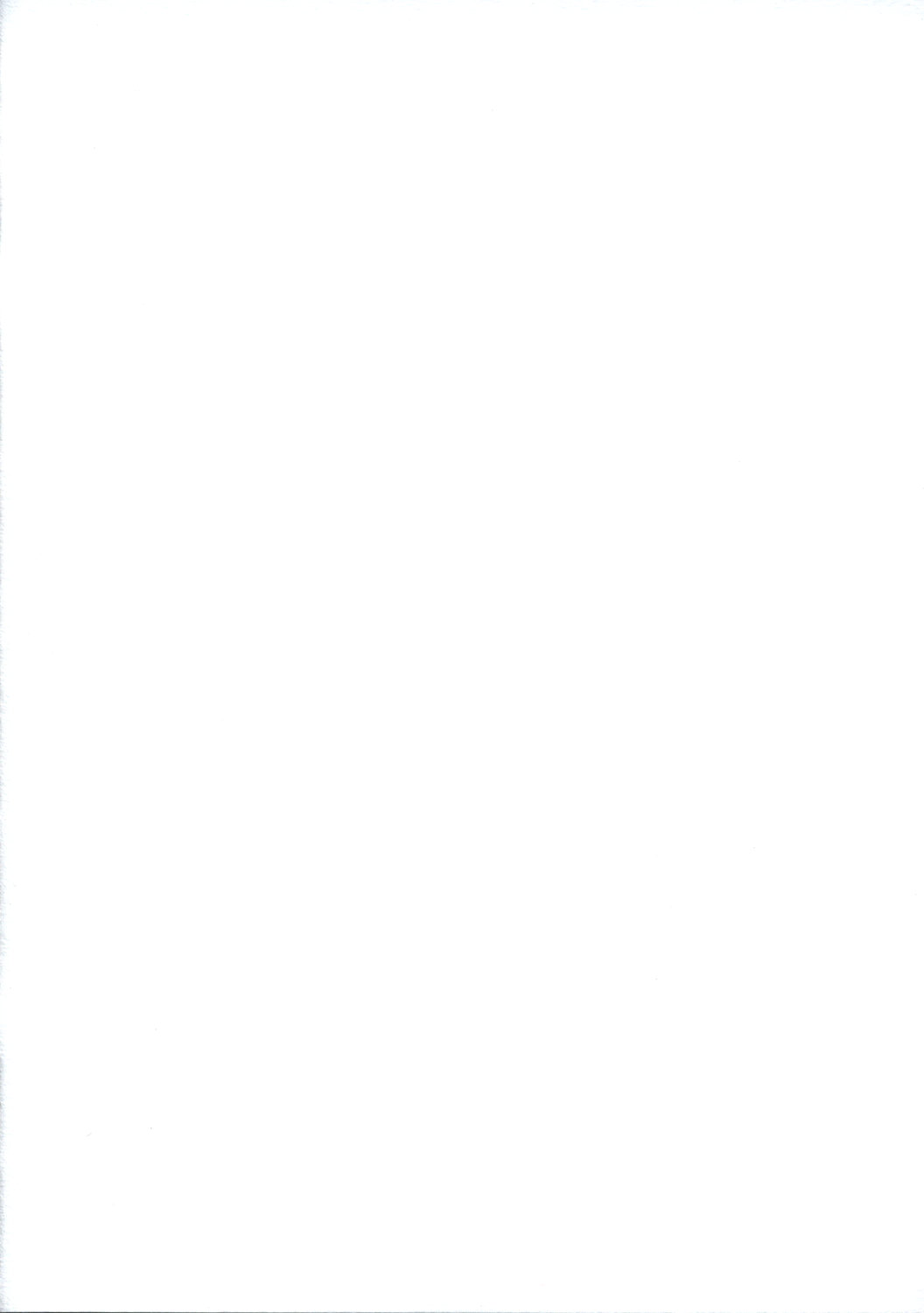 Touhou Shoujo Saiin EX - Mahou Shoujo Yonin   =LWB= page 2 full