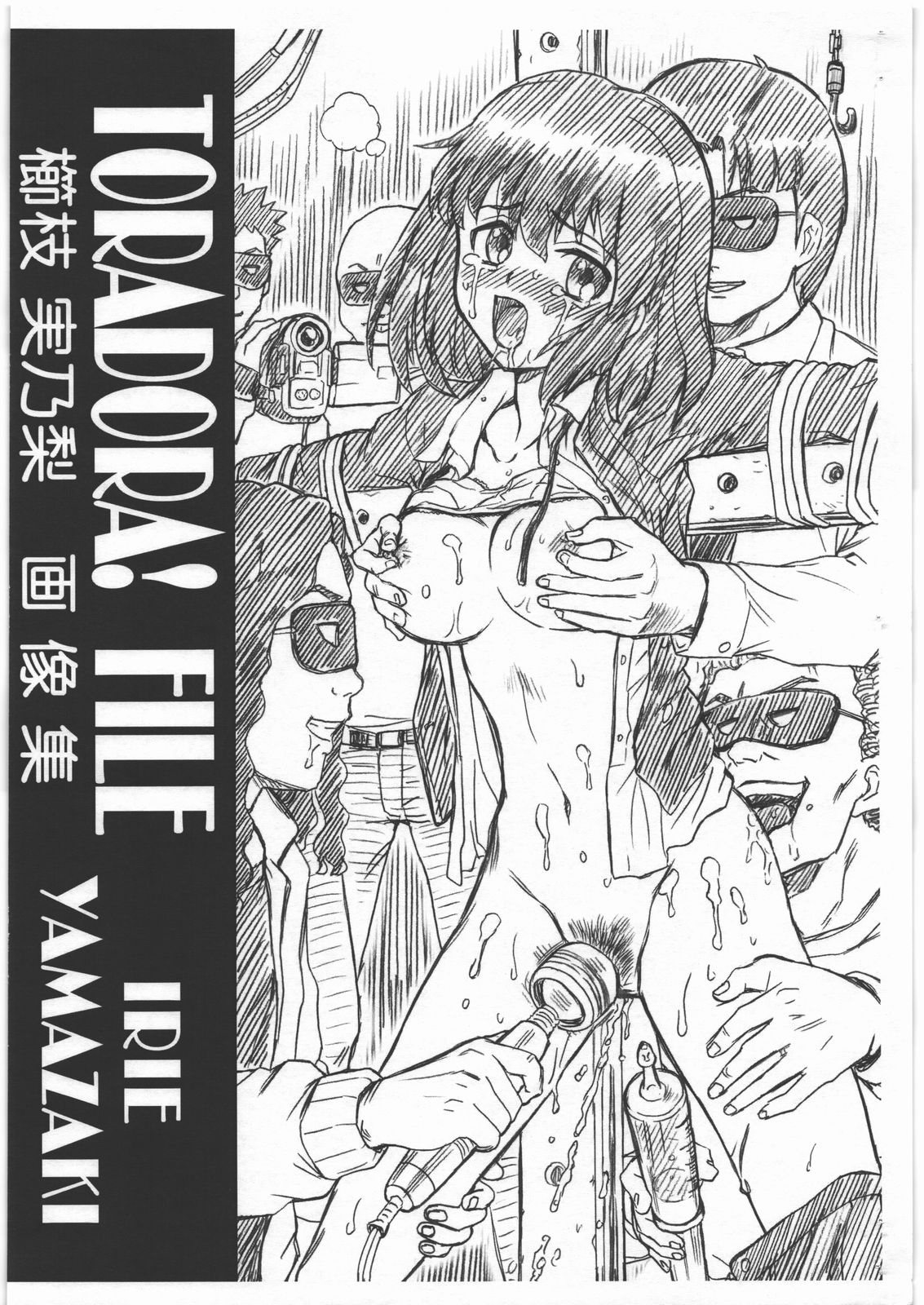 TORADORA! FILE Kushieda Minori Gazoushuu page 1 full