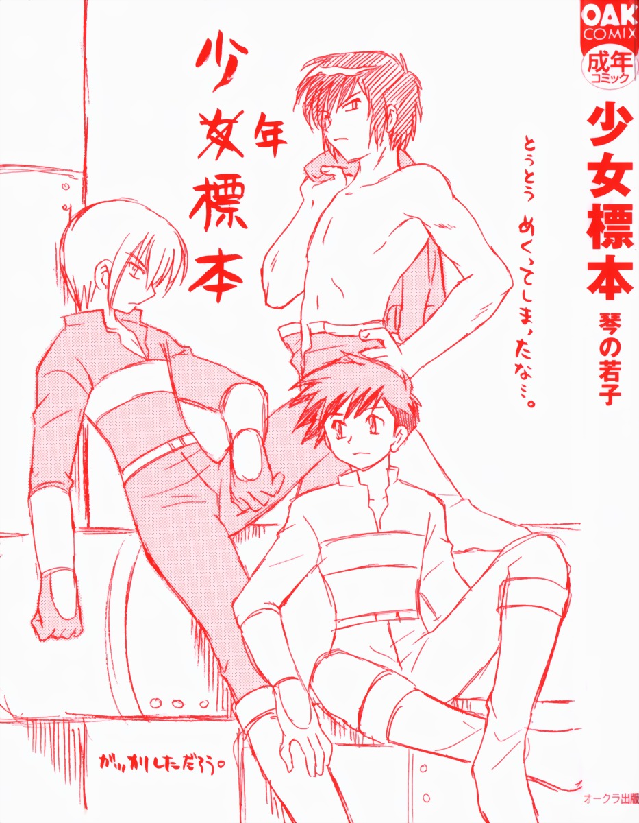 Shoujo Hyouhon page 3 full