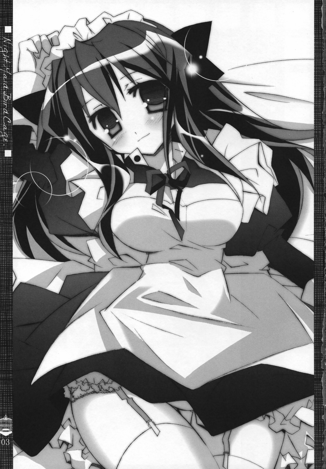 Night Maid Bird Cage. page 2 full