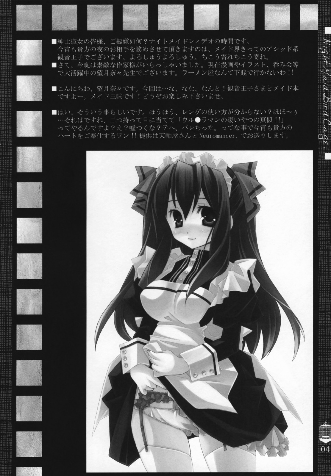 Night Maid Bird Cage. page 3 full