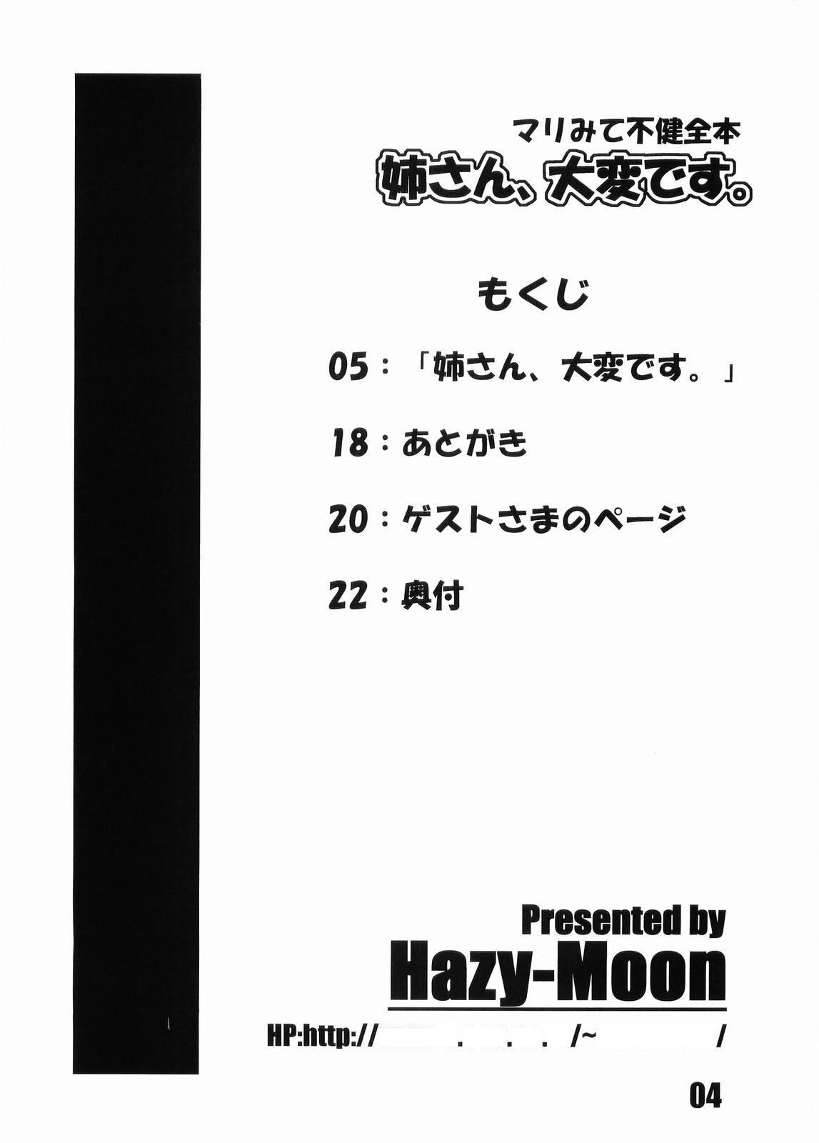 姉さん、大変です。 page 3 full