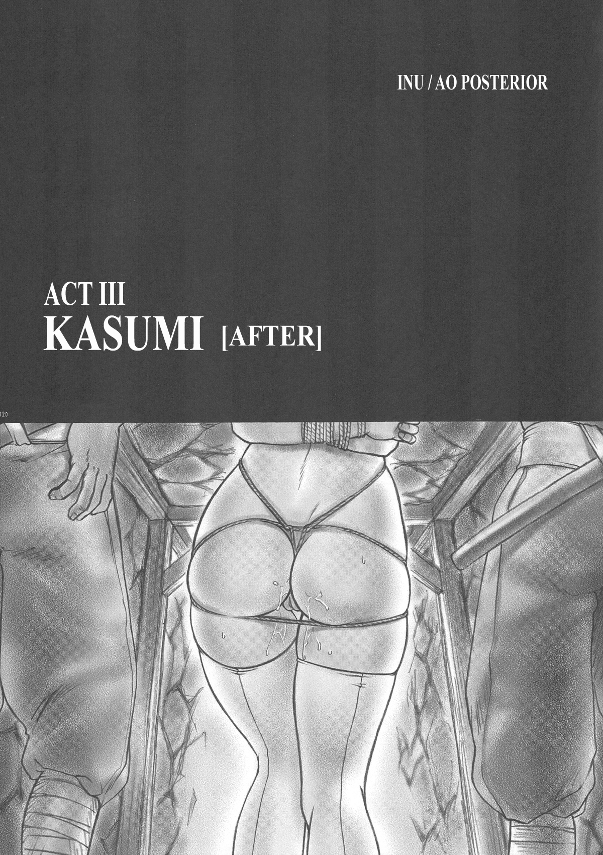 INU/AO Posterior page 9 full