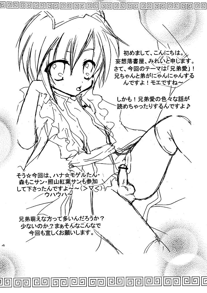 Fraternal Affection page 4 full