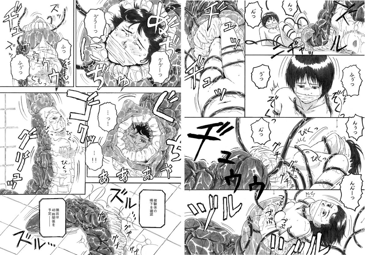 P045-02 Vanis Report page 7 full