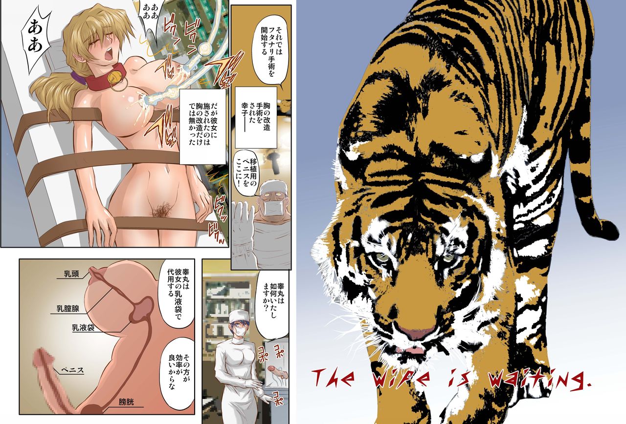 Hitozuma Juukan Gishiki IN, USA - four page 2 full