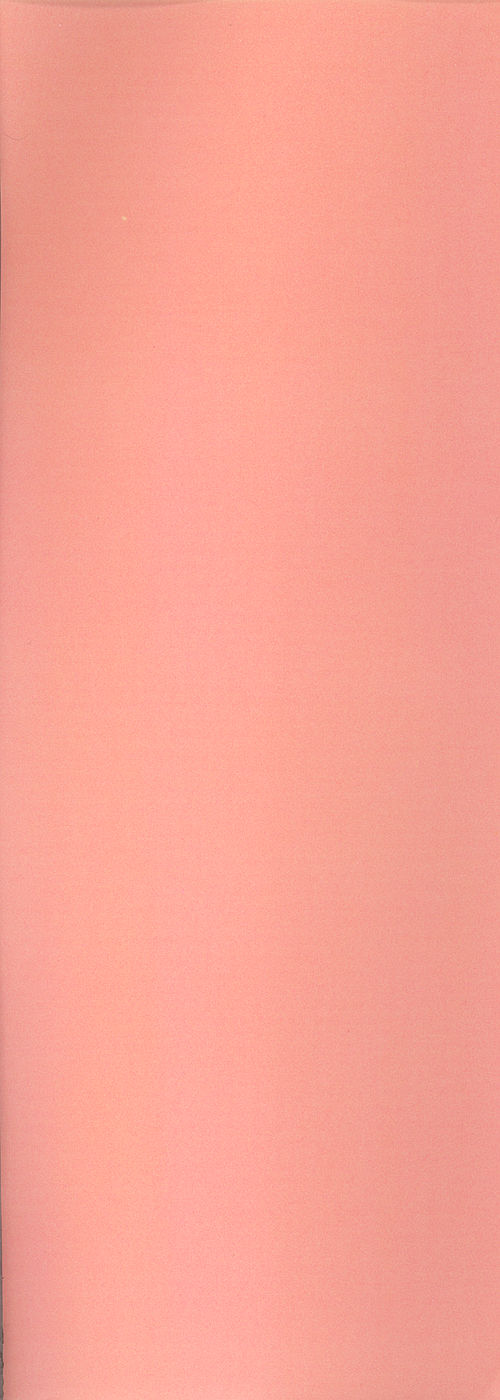 Okawari Jiyuu Dayo page 2 full