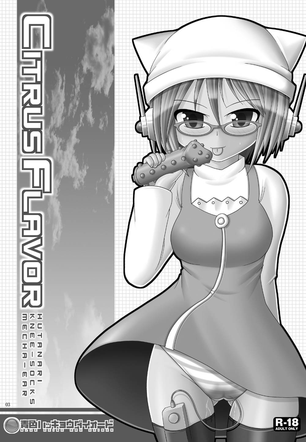 Citrus Flavor page 2 full