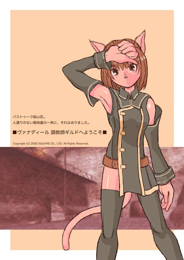 Vanadiel choukyoushi guild he youkoso page 1 full