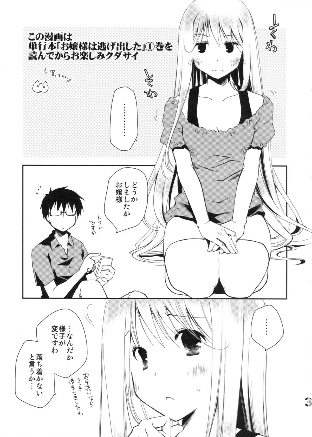 Kyuukyoku Reijou Nishizono Shizuka no Karei Naru Toubou page 2 full