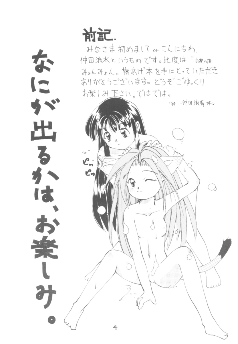 Touhou Huhai page 3 full