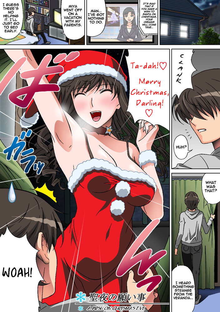 Seiya no Negaigoto | A Wish on Christmas Eve   =LWB= page 1 full
