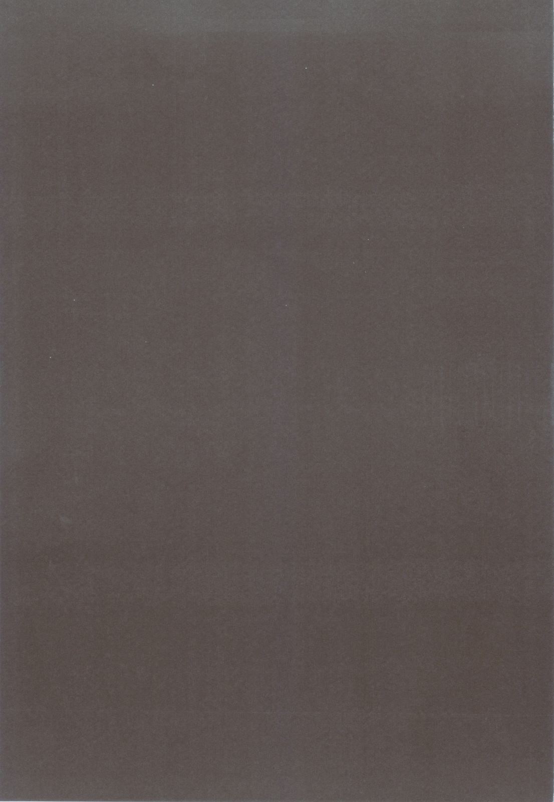 Nisemono 2 page 2 full